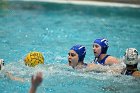 WWPolo vs CC  Wheaton College Women’s Water Polo compete in their sports inaugural match vs Connecticut College. - Photo By: KEITH NORDSTROM : Wheaton, water polo, inaugural